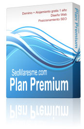 Plan diseño Web Premium