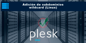 Adición de subdominios wildcard (Linux)